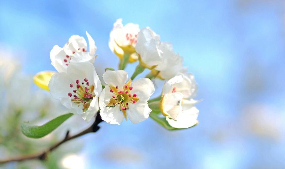 digital transformation and rebirth