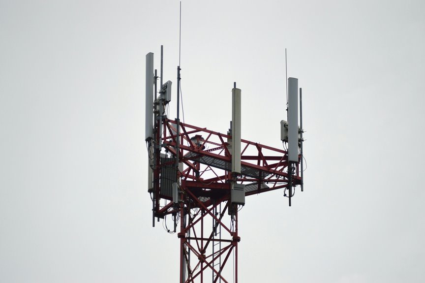 signal received at 8132060455